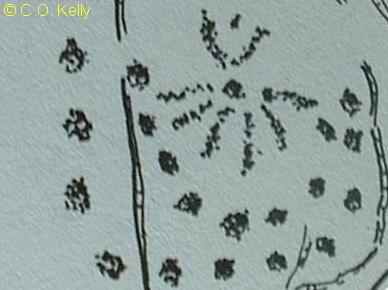 Newgrange
                Back Corbel