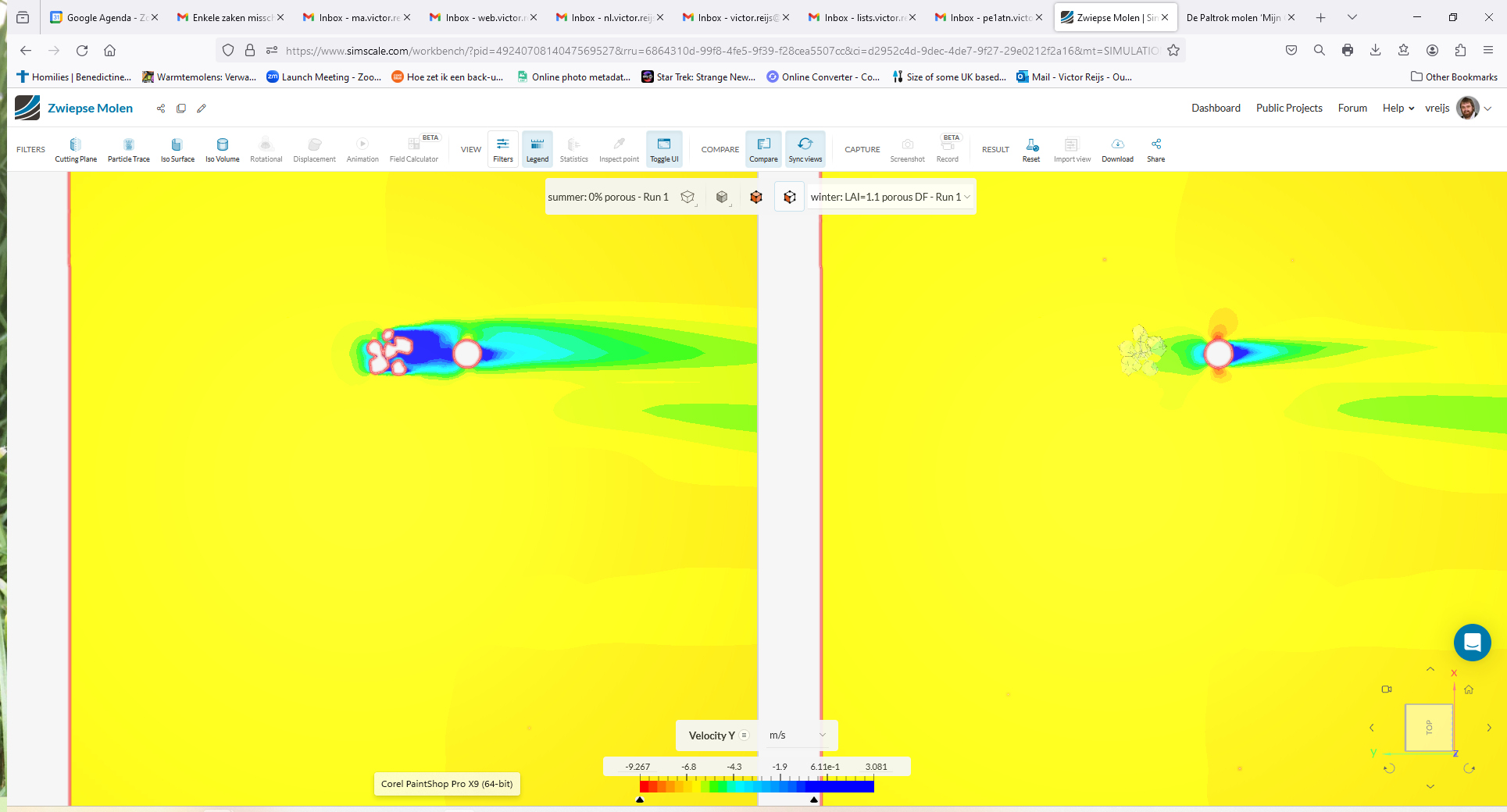 SUmmer and winter
            tree