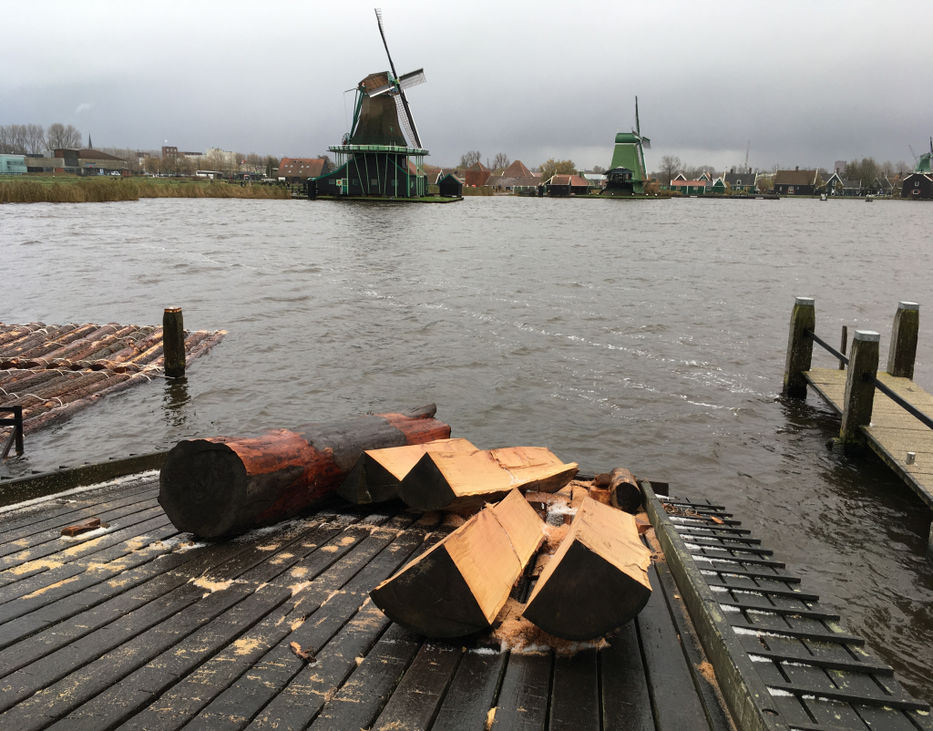 Vier delen op
          Jonge Schaap