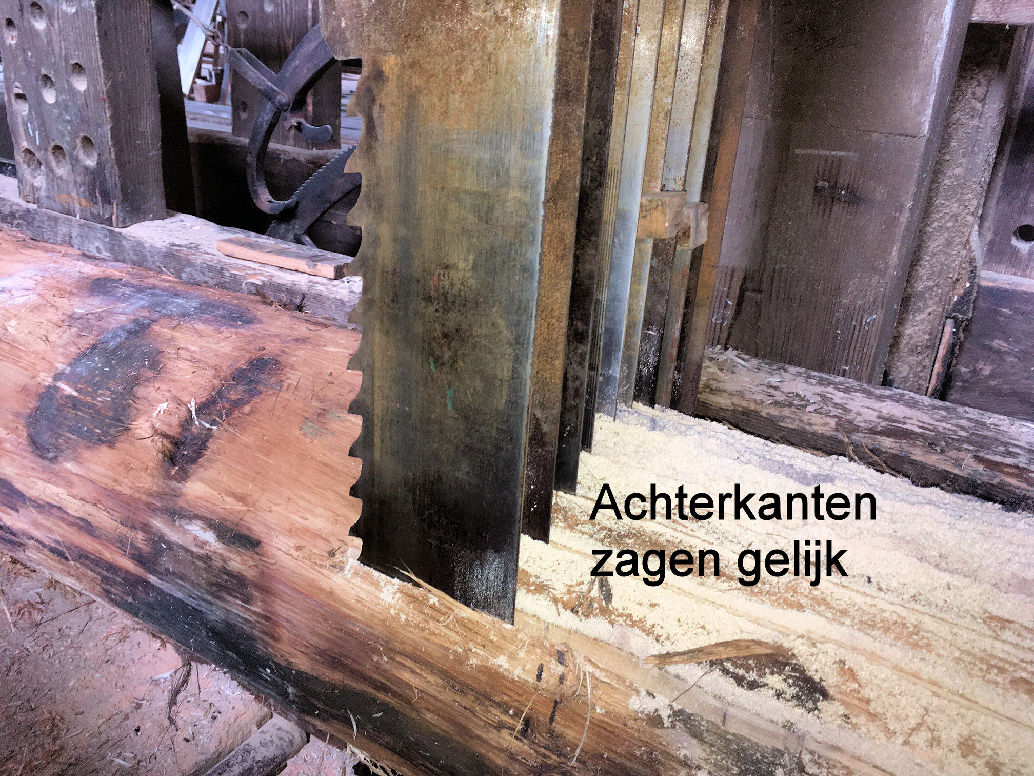 Achterkanten zagen op een rij