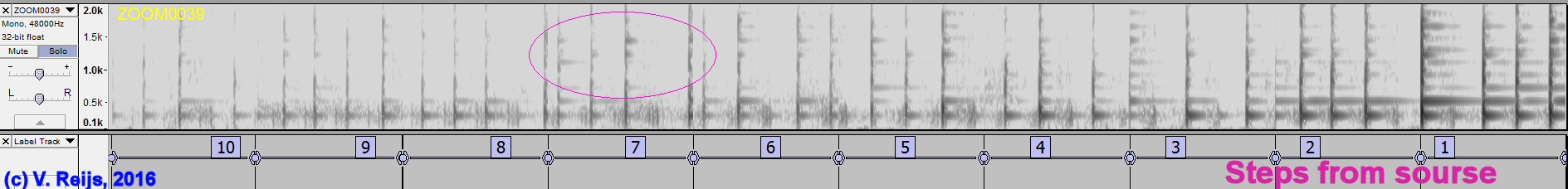 Shamanic Drim from centre of Pommelte