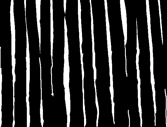 Gaps in Goseck's
              palisade