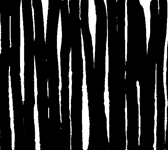 Gaps in Pommelte's
              palisade