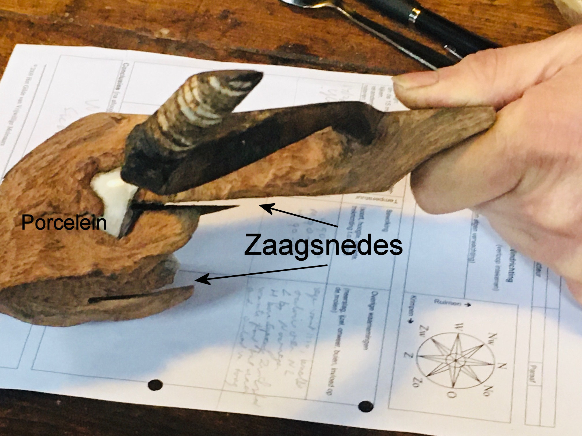 Prcelijnen isolator in stam