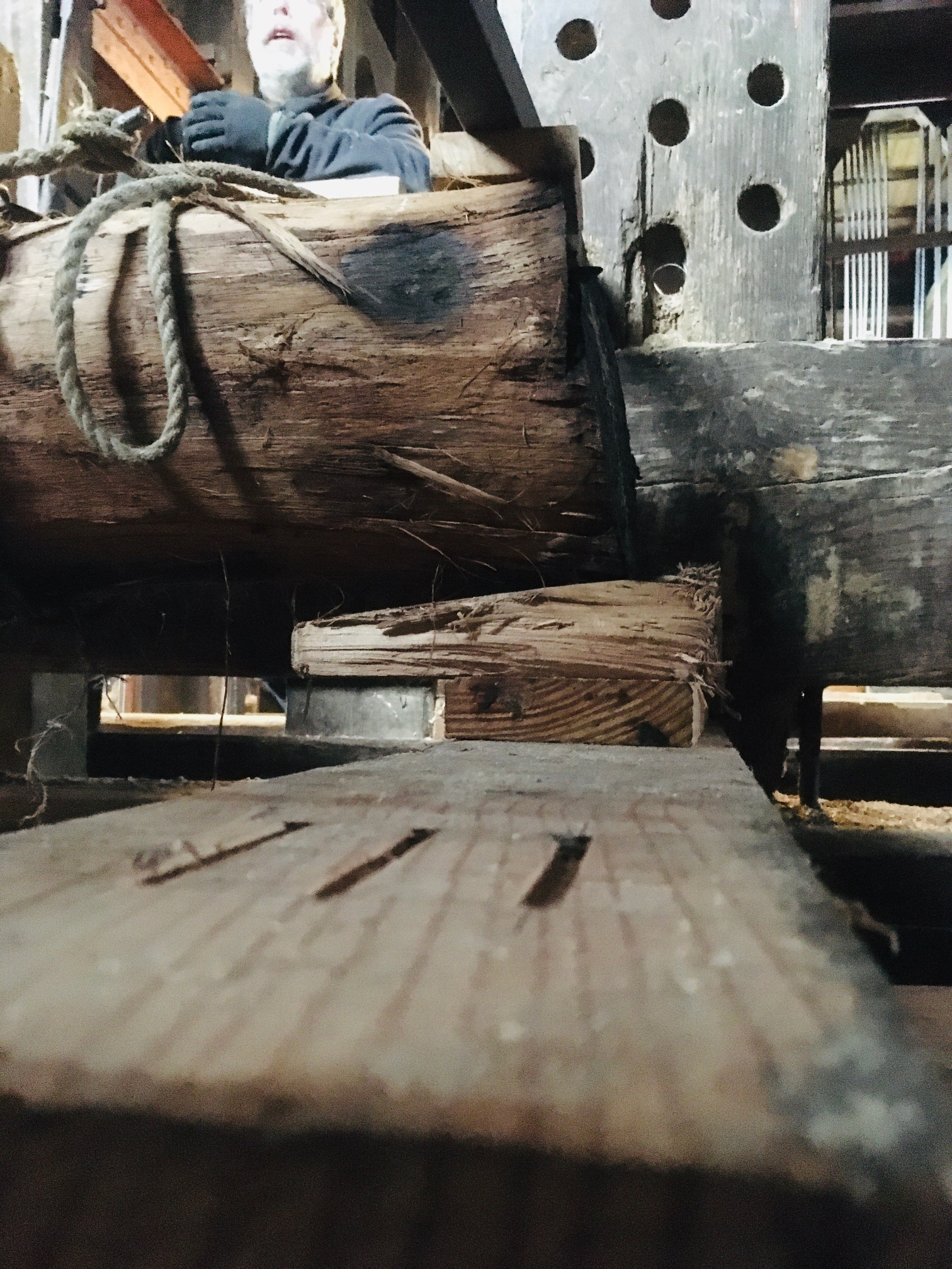 Wig onder
        stam